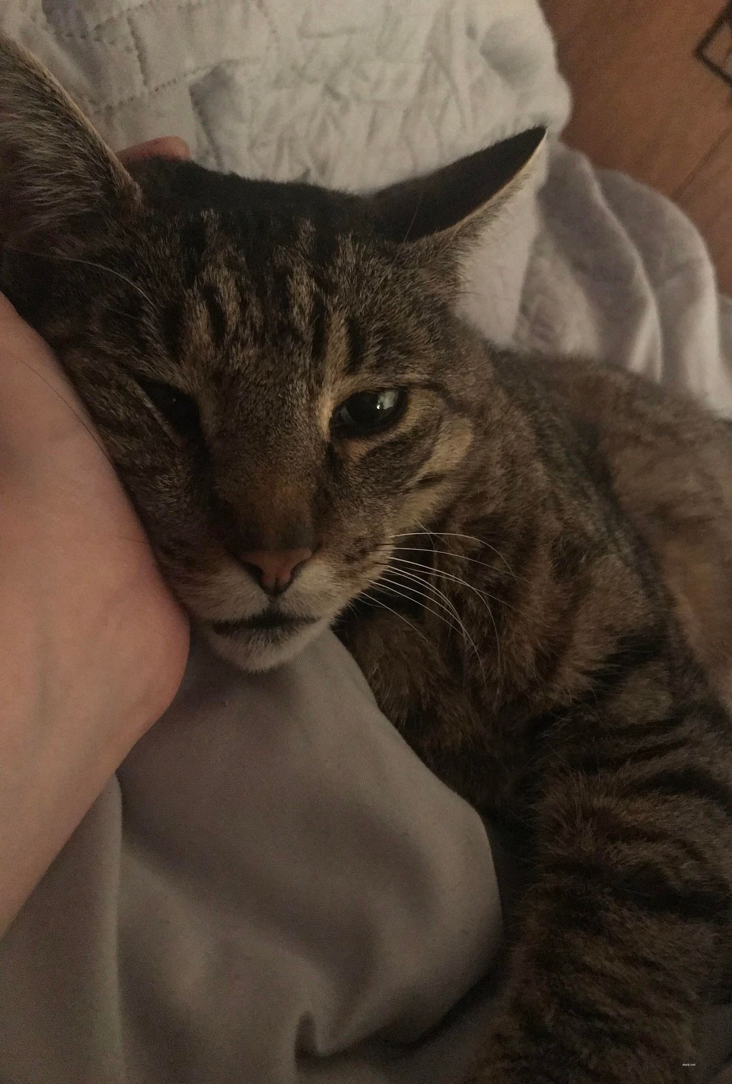 Блондинка дня: такая я